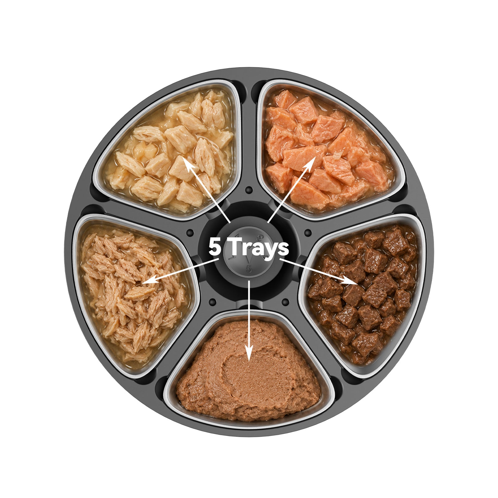 EVOTAILS AI Wet Food Feeder (Global Debut)🔥